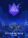 The Old King's Crown - The Waking Kingdom