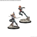 Marvel: Crisis Protocol - S.H.I.E.L.D Affiliation Pack