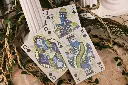 Playing Cards:  Room One - Hanging Gardens of Babylon - Special