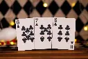 Playing Cards:  Room One - Night at Circus - The Animal Show (Standard Ed.)