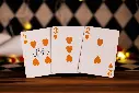 Playing Cards:  Room One - Night at Circus - The Animal Show (Standard Ed.)