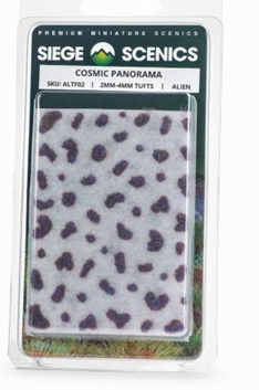 Siege Scenics: Cosmic Panorama