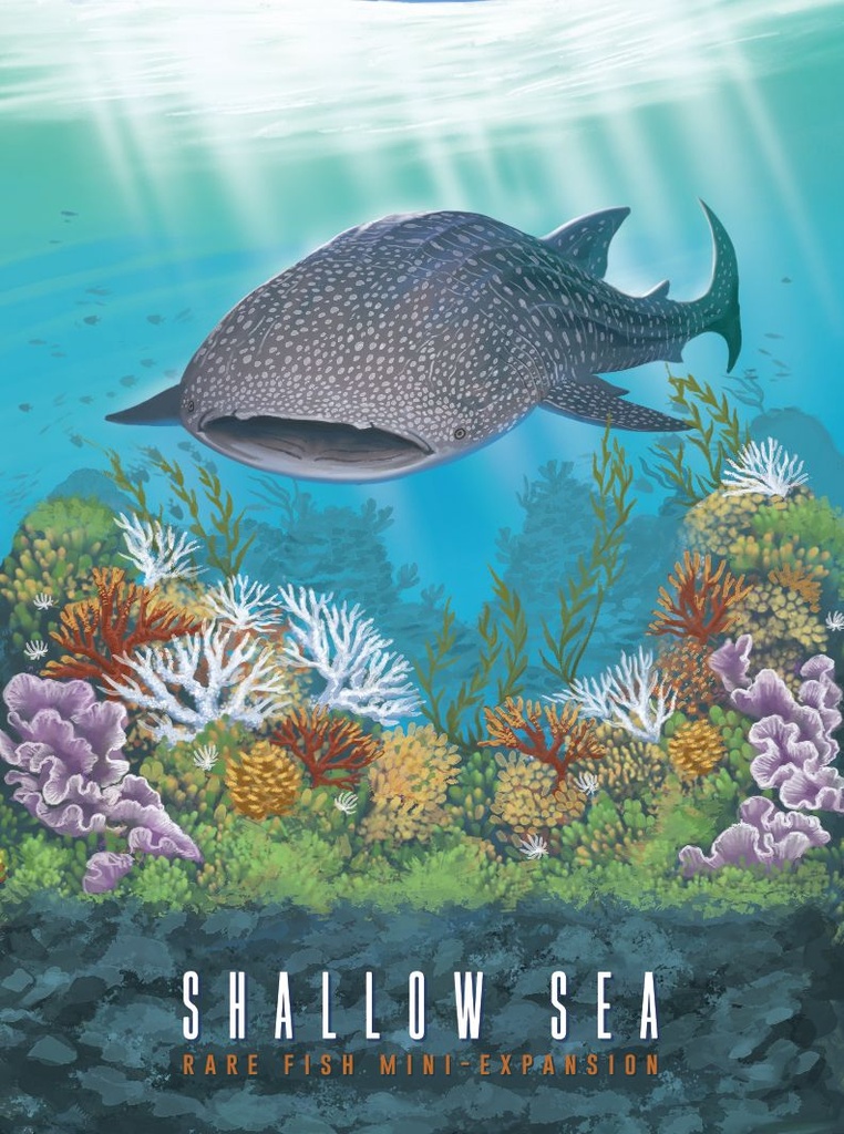Shallow Sea - Rare Fish