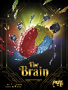 The Brain
