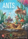 Ants